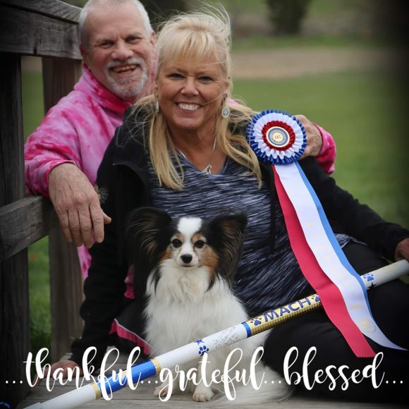 Meet your Posher, Ida - Picture 1 of 1